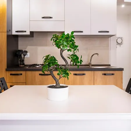 בית נופש A Casudda